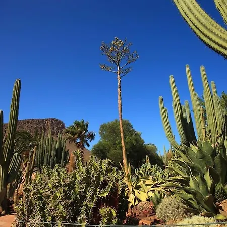 Lägenhet Oasis Maspalomas Garden 11