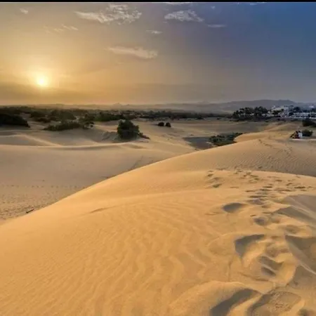 Oasis Garden 11 Maspalomas (Gran Canaria)